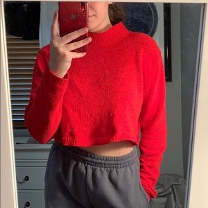 Cropped Wild Fable Sweater